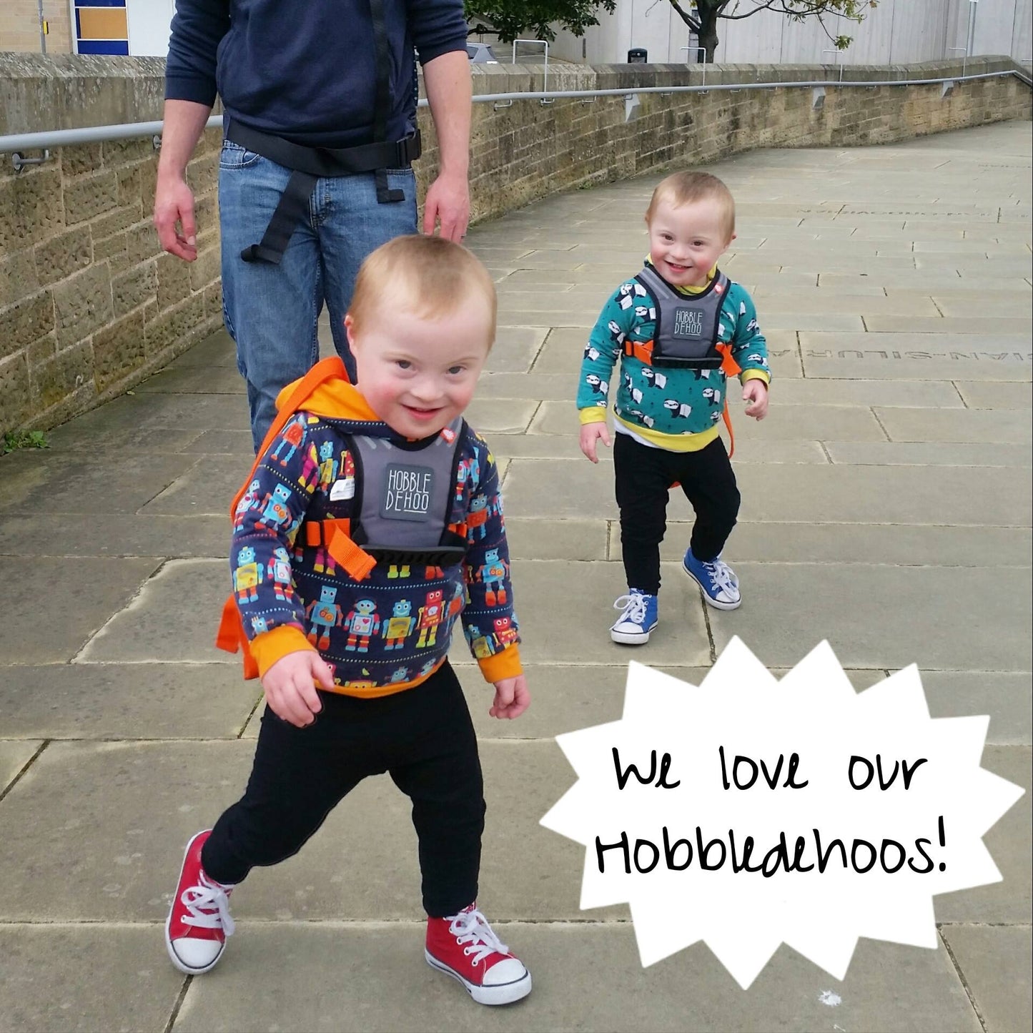 Hobbledehoo 3 Active Childs Harness